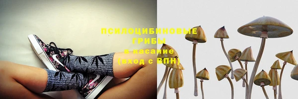 крисы Майский