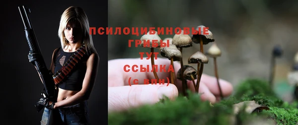 МДПВ Магас