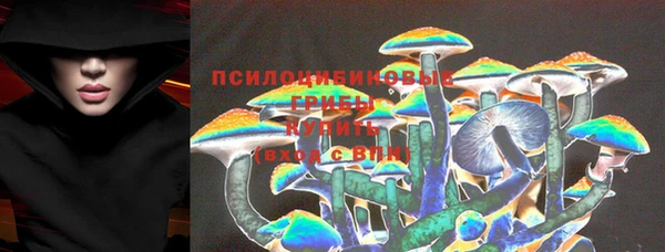 МДПВ Магас