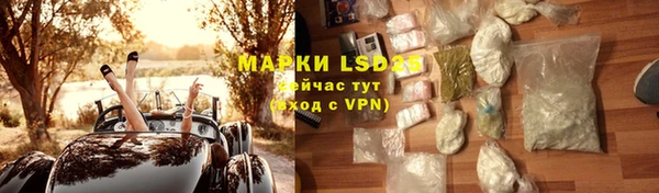 крисы Майский